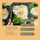 Lifestyle (Lower Calorie) - BEST SELLER